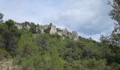 Trail Walking Signes - Plateau d'Agnis en partant de La Marseillaise - Photo 17