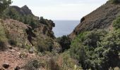 Tocht Stappen La Ciotat - La Ciotat - Photo 14