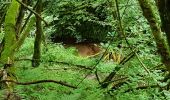 Trail Walking Champagney - Canal souterrain de la Haute-Saône - Photo 13