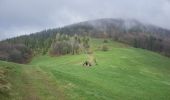 Tour Zu Fuß Košařiska - NS Po stopách salašnictví - Photo 8