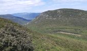 Randonnée A pied Signes - Sioux Blanc,les bidoufles,le pas de Belgentier, les aiguilles et retour - Photo 10