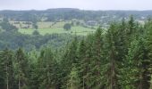 Trail Walking Vielsalm - Vielsalm 270625 - Photo 12