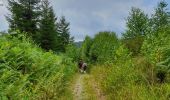 Randonnée Marche Viroinval - Balade à Oignies-en-Thiérache - Le Ry d'Alise - Photo 5