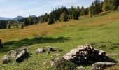 Excursión A pie Ramsau am Dachstein - Kulmberg Rundweg 