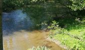Tour Wandern Condé-en-Normandie - Condé sur Noireau - Photo 8
