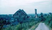 Tocht Te voet Flein - SB2 Vom Schozachtal zum Deinenbach - Weinwanderung - Photo 5