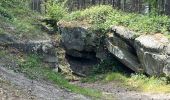 Trail Walking Ormoy-le-Davien - 040522 - Boucle Ormoy le Davien - Moulin de Wallu... - Photo 19