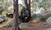 Tocht Stappen Fontainebleau - Sentier Denecourt 7 - Photo 18