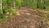 Trail Walking Vendôme - Petit parcours dans la partie Sud-est du Bois de l'Oratoire - Photo 16