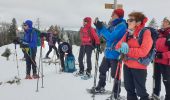 Trail Snowshoes Divonne-les-Bains - La Vatay Suisse - Photo 4