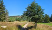 Trail Walking Orbey - Circuit des 2 lacs : lac du Forlet et lac Vert - Photo 2