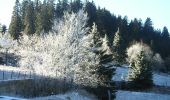 Tocht Te voet Val-de-Ruz - Vue des Alpes - La Pouette Mange - Photo 1