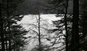 Trail Walking La Bresse - 24022021 La Bresse Lac des corbeaux - Photo 6