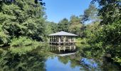 Tour Wandern Echternach - echternacht  tour du lac villa romaine  - Photo 10