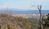 Trail Walking Roquebrune-sur-Argens - ROQUEBRUNE SUR ARGENS - A L'OUEST DE LA FLUTE - Photo 17