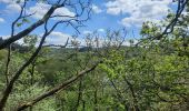 Tocht Stappen Houffalize - lac de Nisramont  - Photo 9