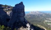 Trail Walking Marseille - Massif du Puget grande Candelle - Photo 16