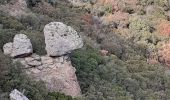 Tour Wandern La Ciotat - la Ciotat grotte Fardeloup - Photo 13