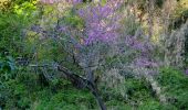 Trail Walking Valbonne - garbejaire aqueduc romain biot brague - Photo 18