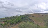 Randonnée Marche Collioure - commioure entre pradells et consolation  - Photo 3