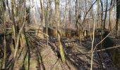 Excursión Senderismo Compiègne - de trean par ste corneil les bx monts le mt tremblé - Photo 7