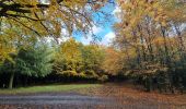 Randonnée Marche Érezée - rando amonines 26/10/2020 - Photo 3