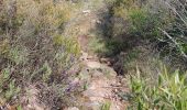 Trail Walking La Motte - les demoiselles - Photo 9