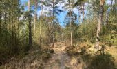 Tour Wandern Kalmthout - Kalmthout bis 20 km - Photo 5