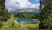 Randonnée Marche Welschnofen - Nova Levante - König Laurin Tour : Rosengarten et Karer See - Photo 12