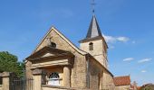 Tocht Te voet Beaunotte - Circuit des Cigognes Noires - Photo 2