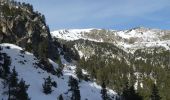 Trail Snowshoes Les Angles - 2021-02-11 Sortie CAF - Les Angles - vers les Camporells - Photo 2