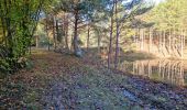 Trail Walking Vendôme - Forêt de Vendôme - Bois de l'Oratoire - Photo 12