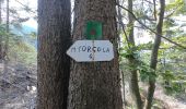 Excursión A pie Valnegra - Sentiero 119: Valnegra - Monte Torcola - Forcolino di Torcola - Photo 5