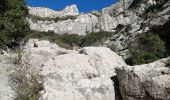 Trail Walking Roquevaire - le Garlaban par le grand vallon - Photo 3