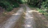 Tocht Stappen Saint-Nectaire - TOUR DU PUY D' ERAIGNE DEPUIS LE CAMPING 