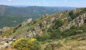 Trail Walking Rosis - Le sommet du Plo des Brus dans l'Espinouse - Photo 15