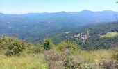 Tour Wandern Montferrer - montferrer . El castel . Puiq de volafort .. retour par la piste  - Photo 10