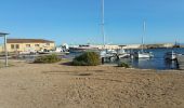 Tour Wandern Hyères - les salins - Photo 1