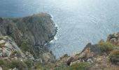 Trail Walking Calvi - Tour de la Revellata - Photo 8