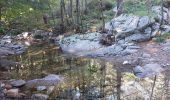 Tour Wandern Pont de Montvert - Sud Mont Lozère - arsel du pt de montvert a bedoues - Photo 16