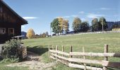 Tour Zu Fuß Ramsau am Dachstein - Panoramaweg Ost 