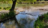 Excursión Senderismo Gréoux-les-Bains - Gréoux, le Colostre et le Verdon. - Photo 4