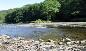 Excursión Senderismo Herbeumont - Haut-Chenois - Sentiers  et vallée de l'Antrogne - Photo 3