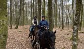 Tour Reiten Bastnach - Livarchamps - Surré - Photo 8