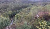 Excursión Senderismo Chiny - Semois, rochers et étangs - Photo 5