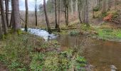 Trail Walking Manhay - Deux Rys 120423 - Photo 5