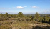 Tocht Stappen Boulbon - Boulbon et le Moulin Bonnet - Photo 3