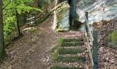 Trail Walking Saverne - Saverne : rocher Rappenfels - grotte St Vit - château Greifenstein - Photo 5