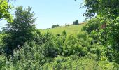 Percorso Marcia Villers-le-Bouillet - gotroul . merexhe . doyard . champia . antheit . gotroul - Photo 16