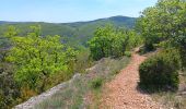 Tour Wandern Monieux - gorge de la Nesque via GR9 - Photo 18